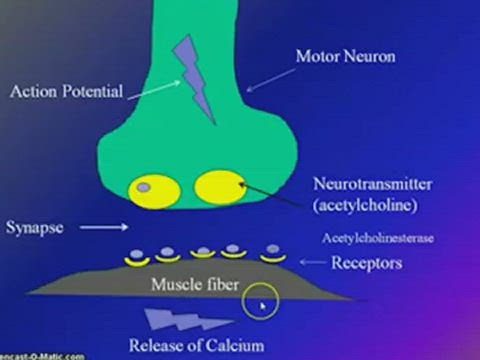 Physical Agent Modalities in Occupational Therapy Practice, Part 4