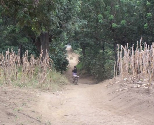 Maya Women Speak about Warfare and Community in Guatemala in the 1980s