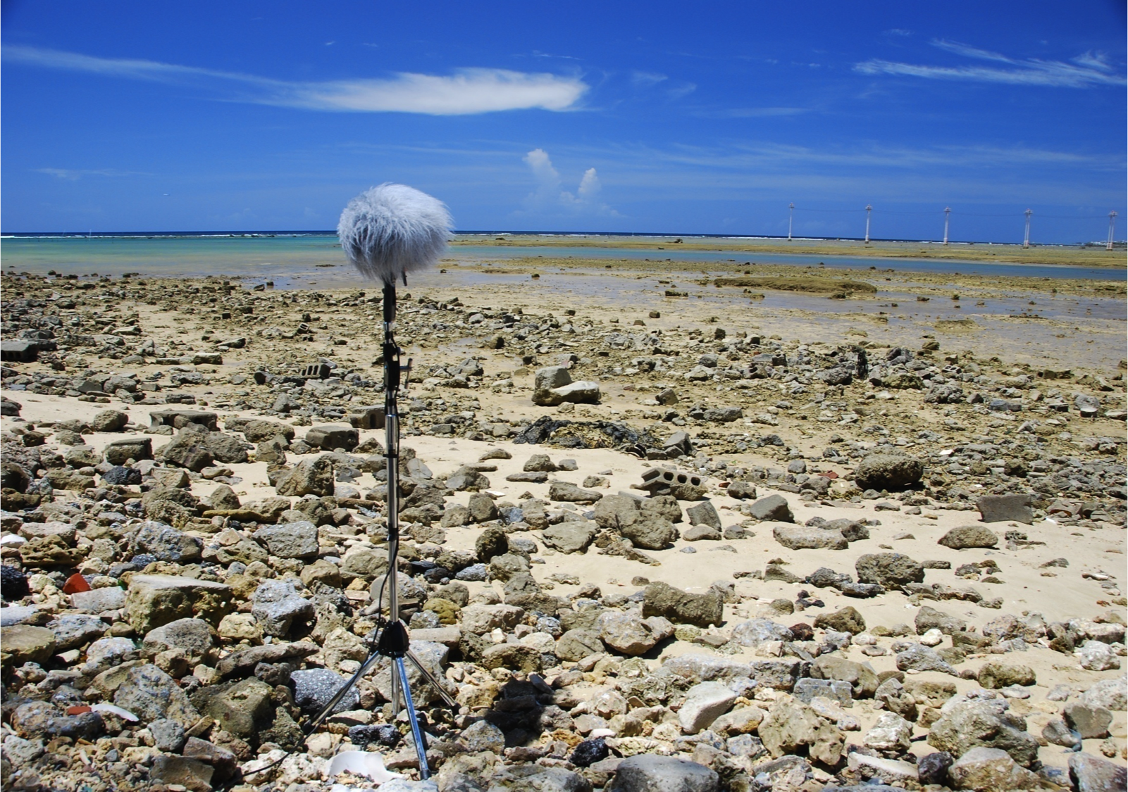 Okinawa Island Archive