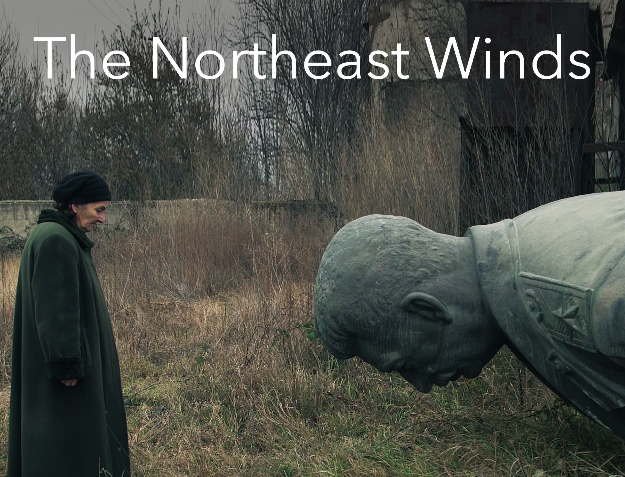 The Northeast Winds